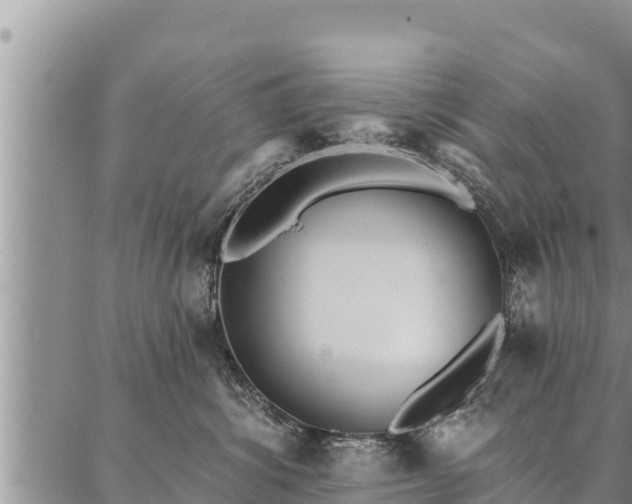 X0000086930428200704231335