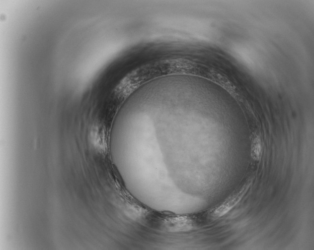 X0000086930431200704231335