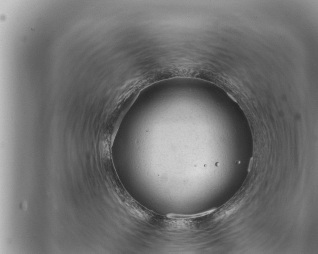 X0000086930432200704231335