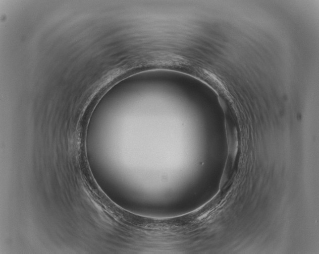 X0000086930435200704231334