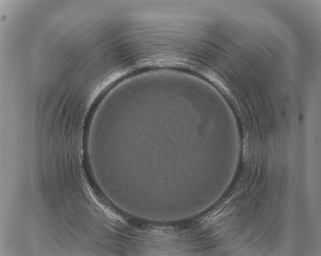 X0000086930438200704231334