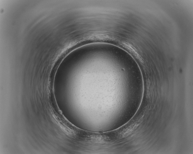 X0000086930439200704231334