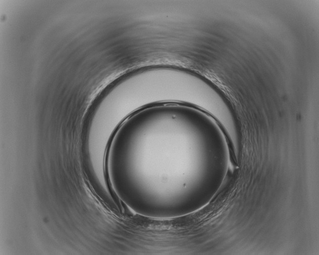 X0000086930440200704231334