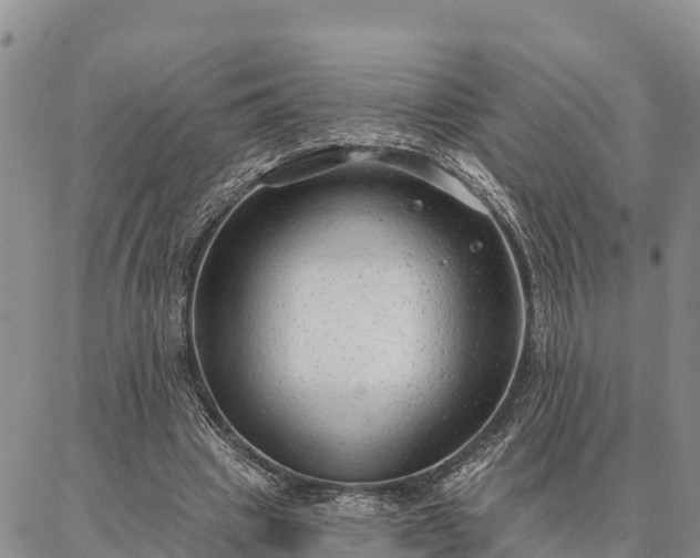 X0000086930441200704231334