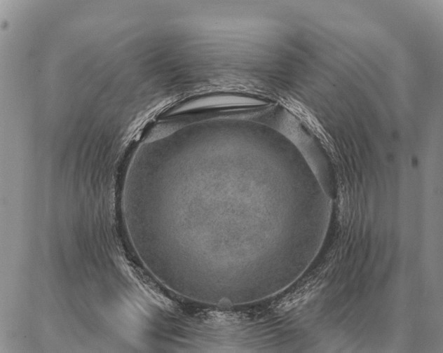 X0000086930442200704231334