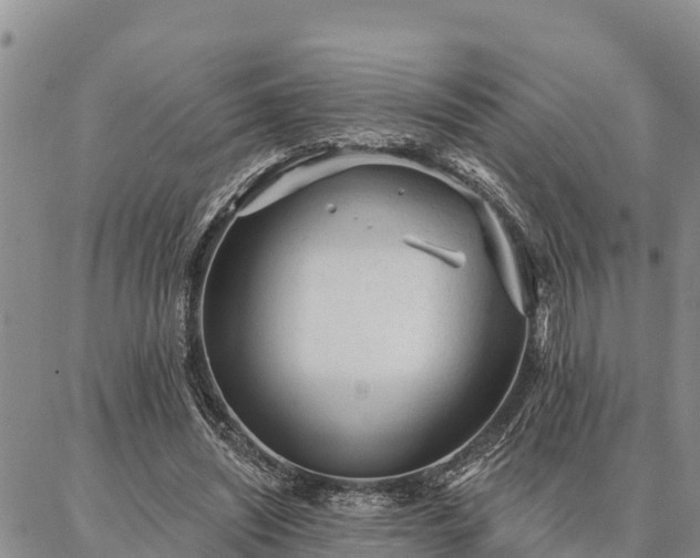 X0000086930444200704231334