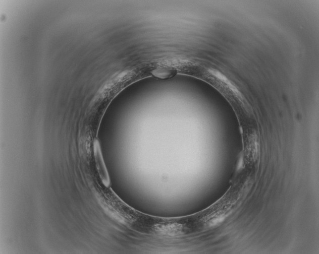 X0000086930452200704231334