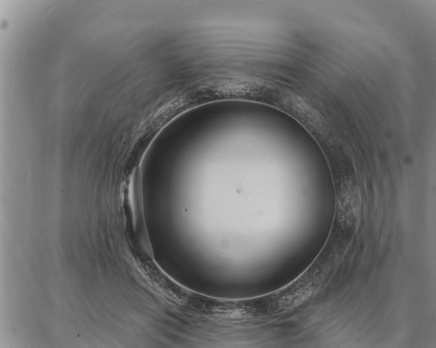 X0000086930454200704231334