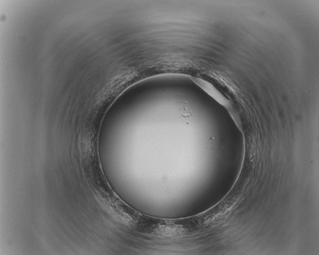 X0000086930455200704231334