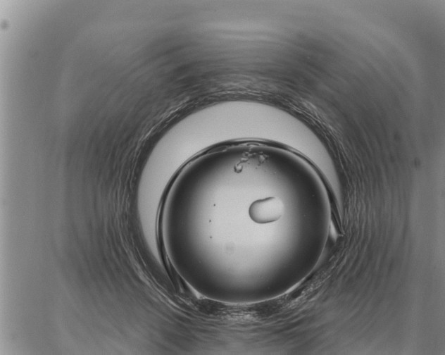 X0000086930456200704231334