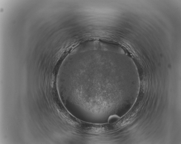 X0000086930458200704231334