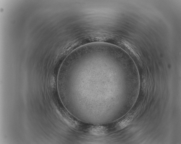 X0000086930459200704231335