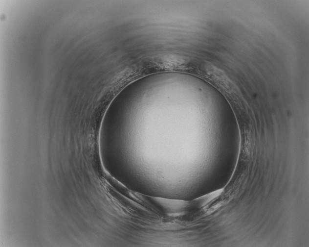 X0000086930461200704231335