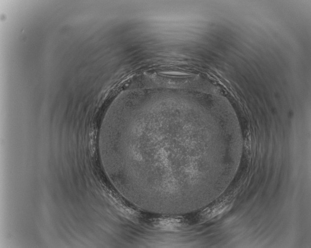 X0000086930462200704231335