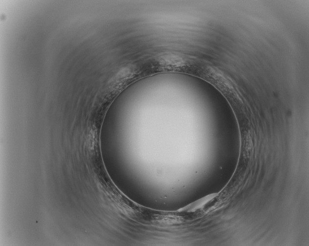 X0000086930463200704231335