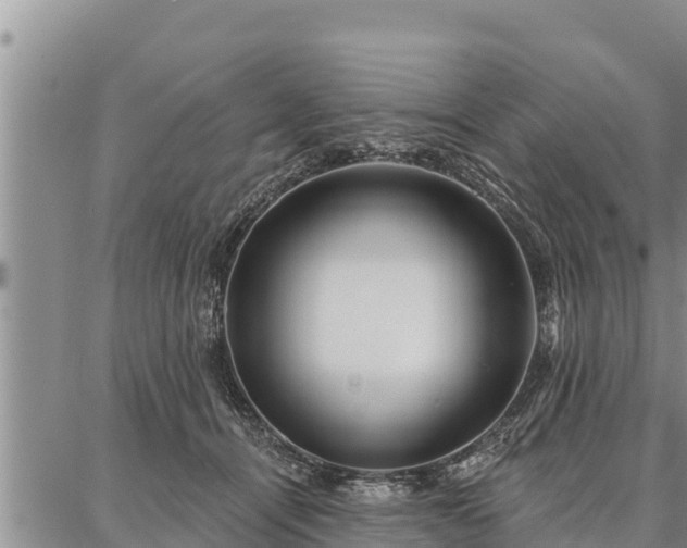 X0000086930464200704231335