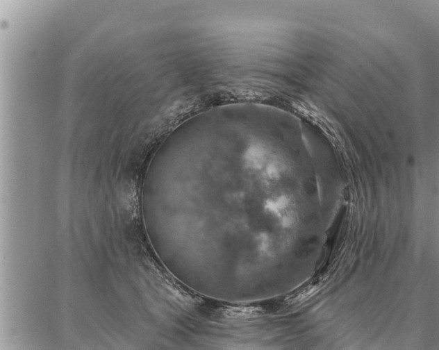 X0000086930465200704231335