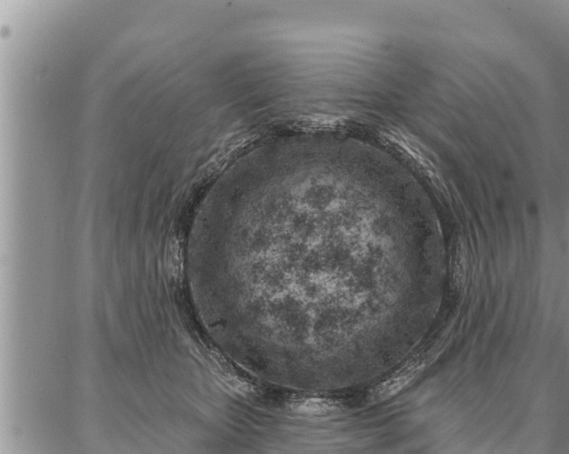 X0000086930467200704231335