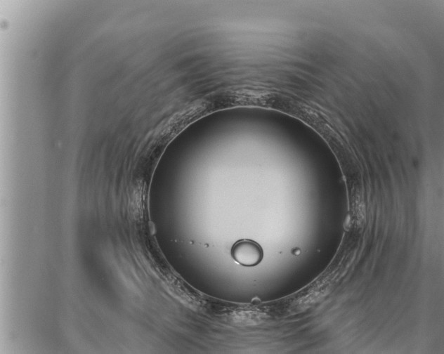 X0000086930468200704231335