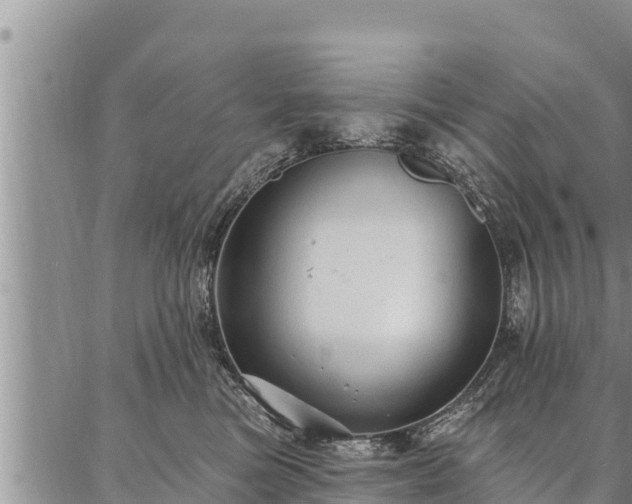 X0000086930473200704231335