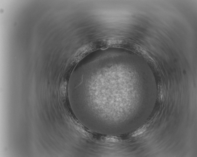 X0000086930475200704231335