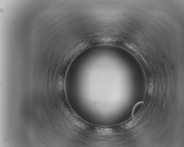 X0000086930476200704231335