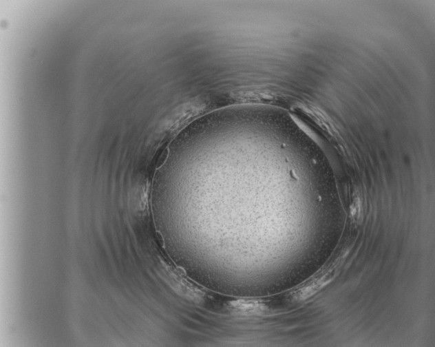 X0000086930477200704231335