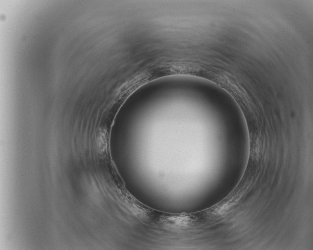 X0000086930478200704231335