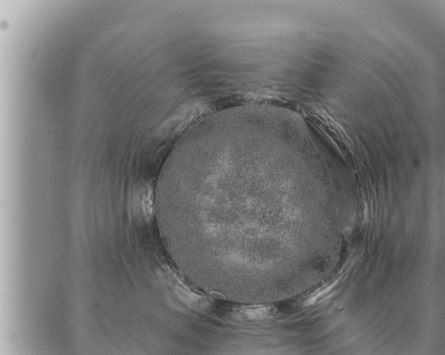 X0000086930479200704231335