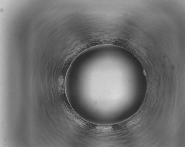 X0000086930480200704231335