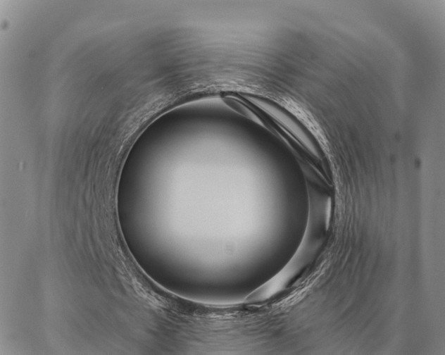 X0000086930481200704231334