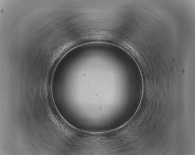 X0000086930482200704231334