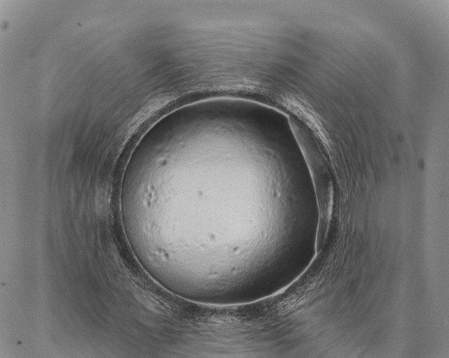 X0000086930483200704231334