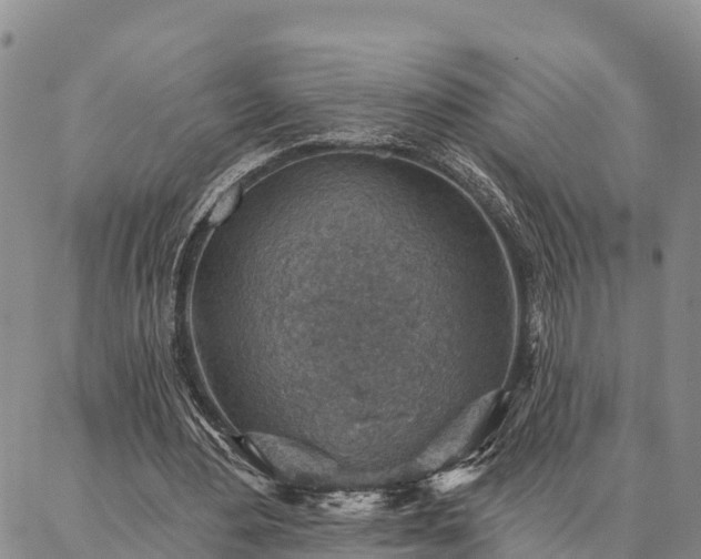 X0000086930484200704231334