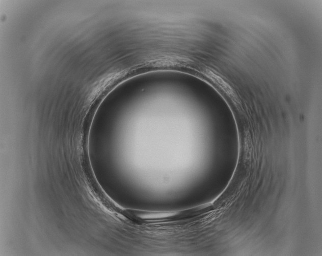 X0000086930485200704231334