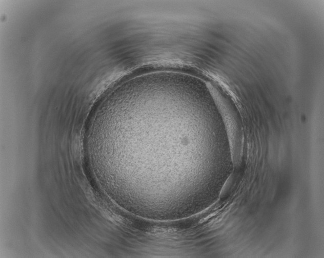 X0000086930487200704231334