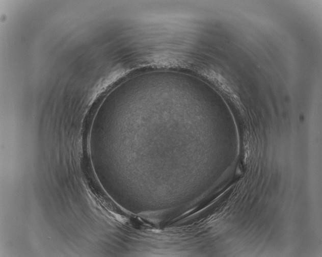 X0000086930488200704231334