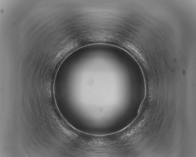 X0000086930489200704231334