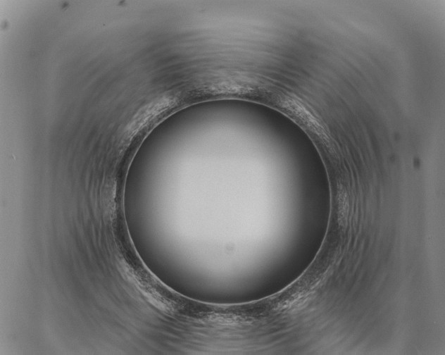 X0000086930490200704231334