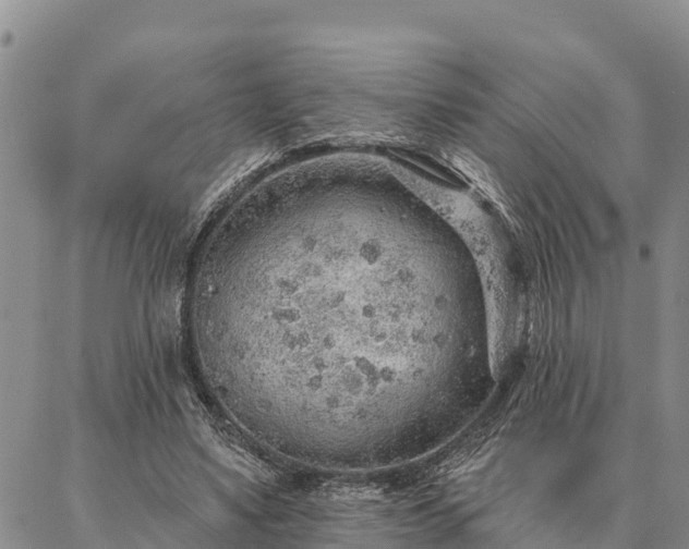 X0000086930491200704231334