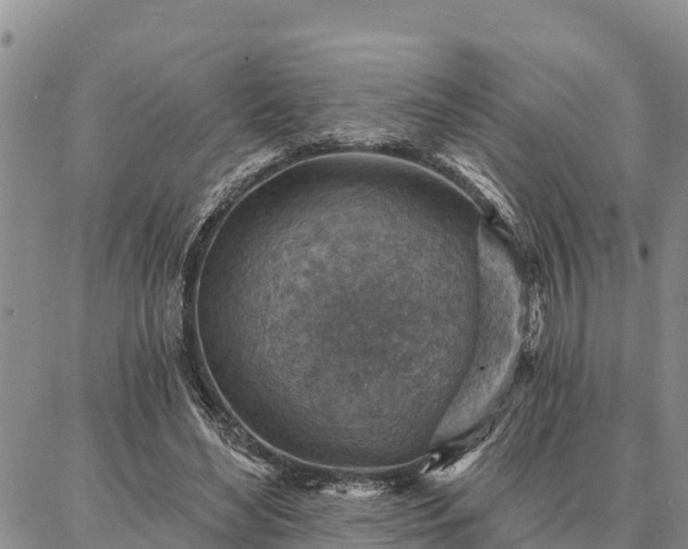 X0000086930492200704231334