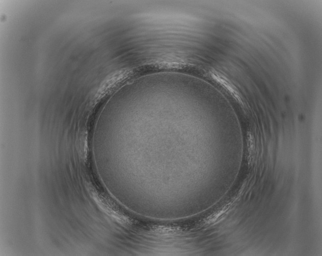 X0000086930494200704231334