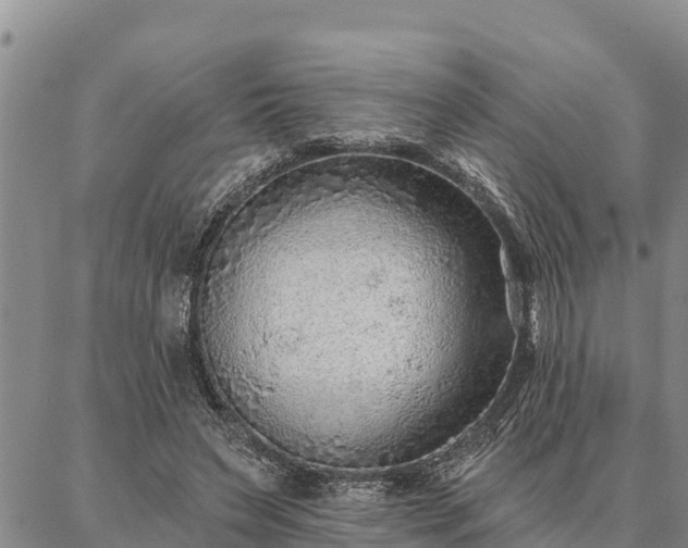 X0000086930495200704231334