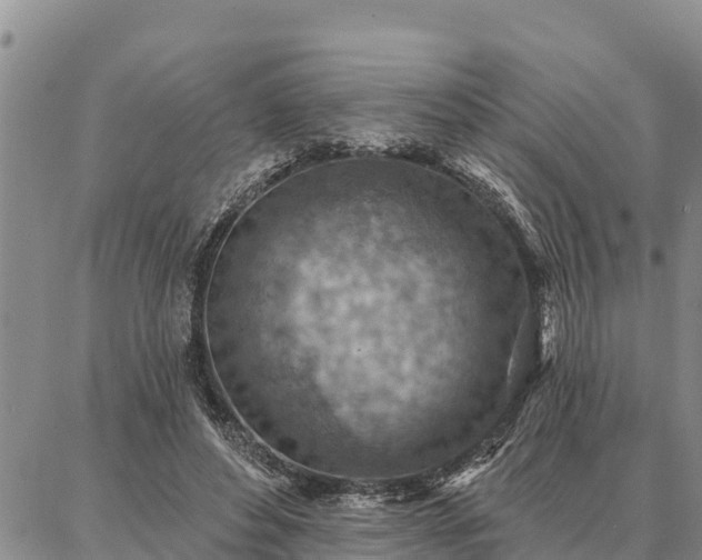 X0000086930496200704231334