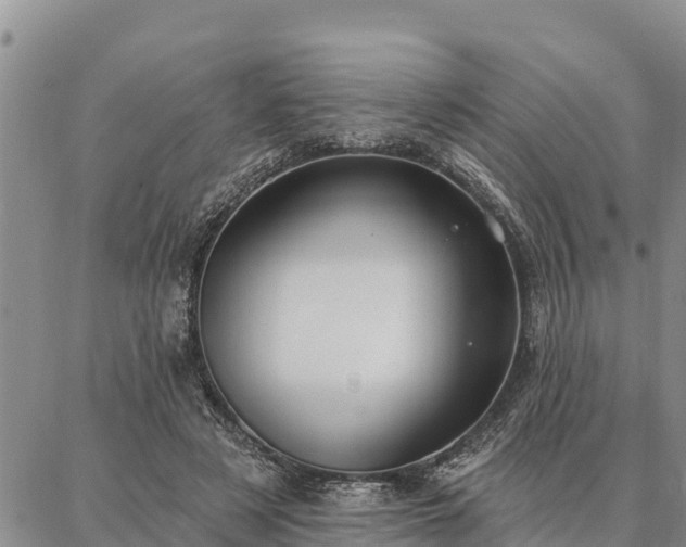 X0000086930497200704231334