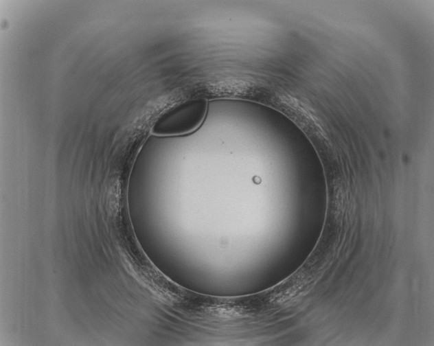 X0000086930498200704231334