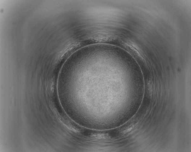 X0000086930499200704231334