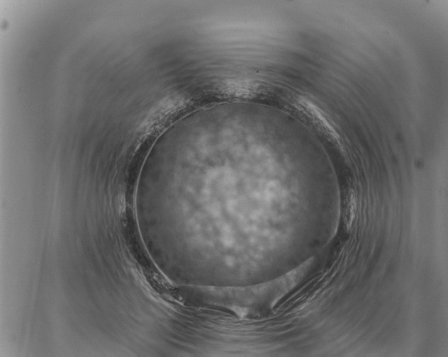 X0000086930500200704231334