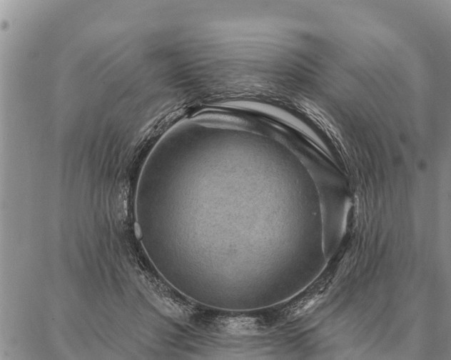 X0000086930501200704231334