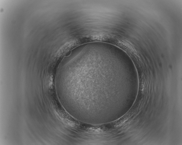 X0000086930502200704231334